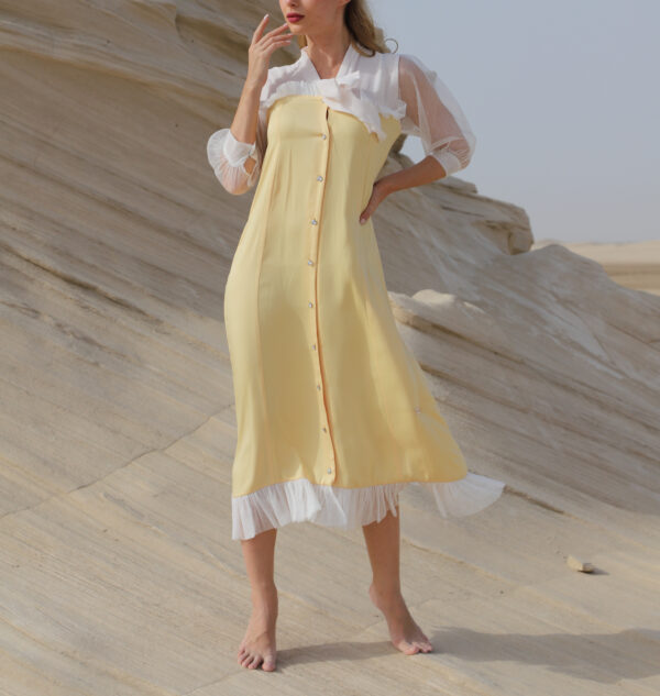 Tulle sleeves dress