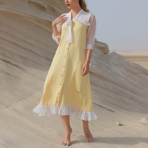 Tulle sleeves dress